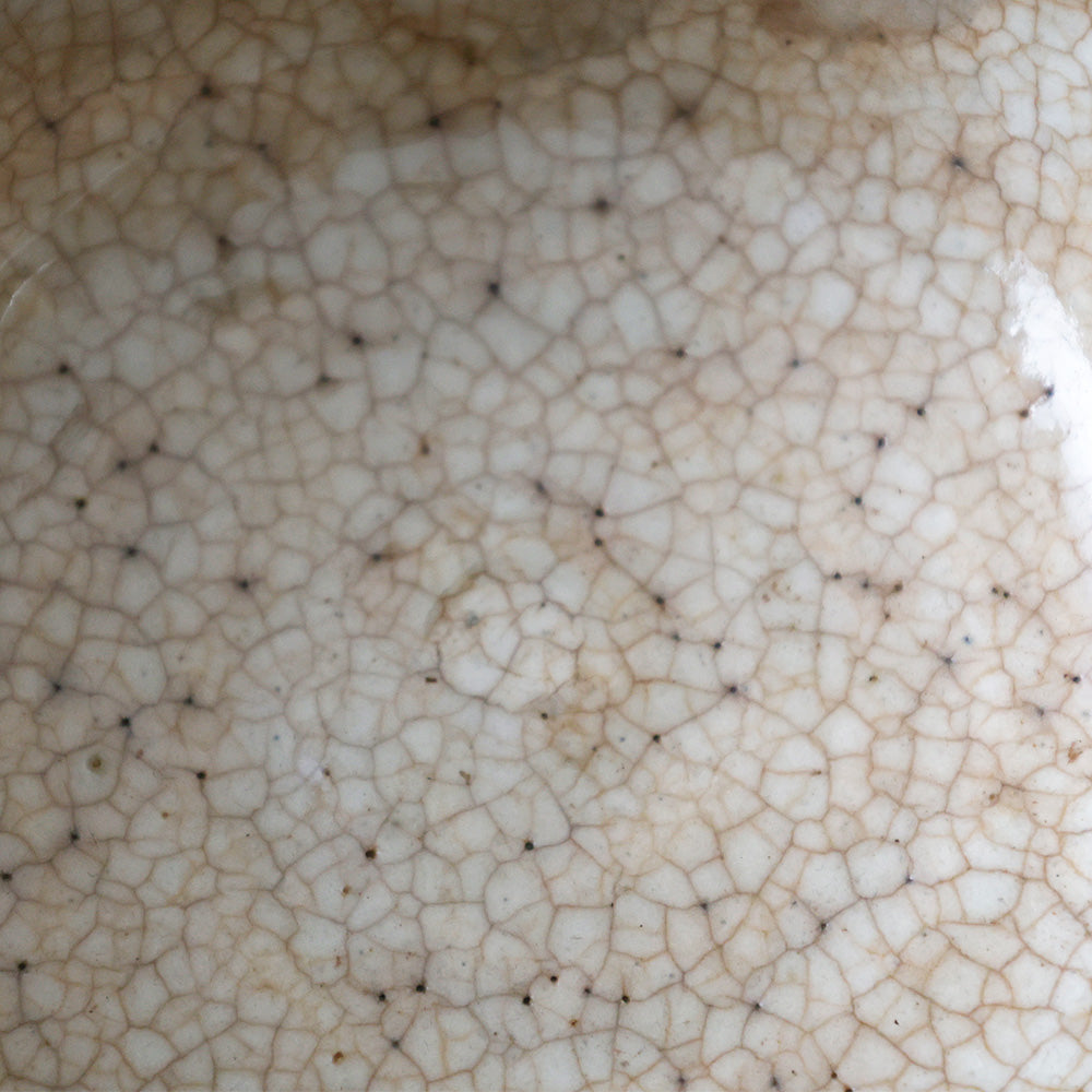 安南写 絞り手 茶碗 拡大図