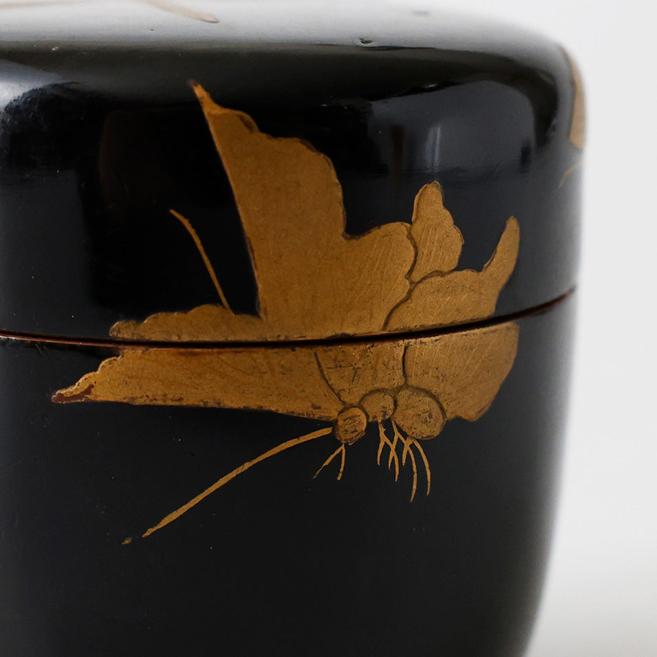 輪島塗 棗 蝶金蒔絵 側面